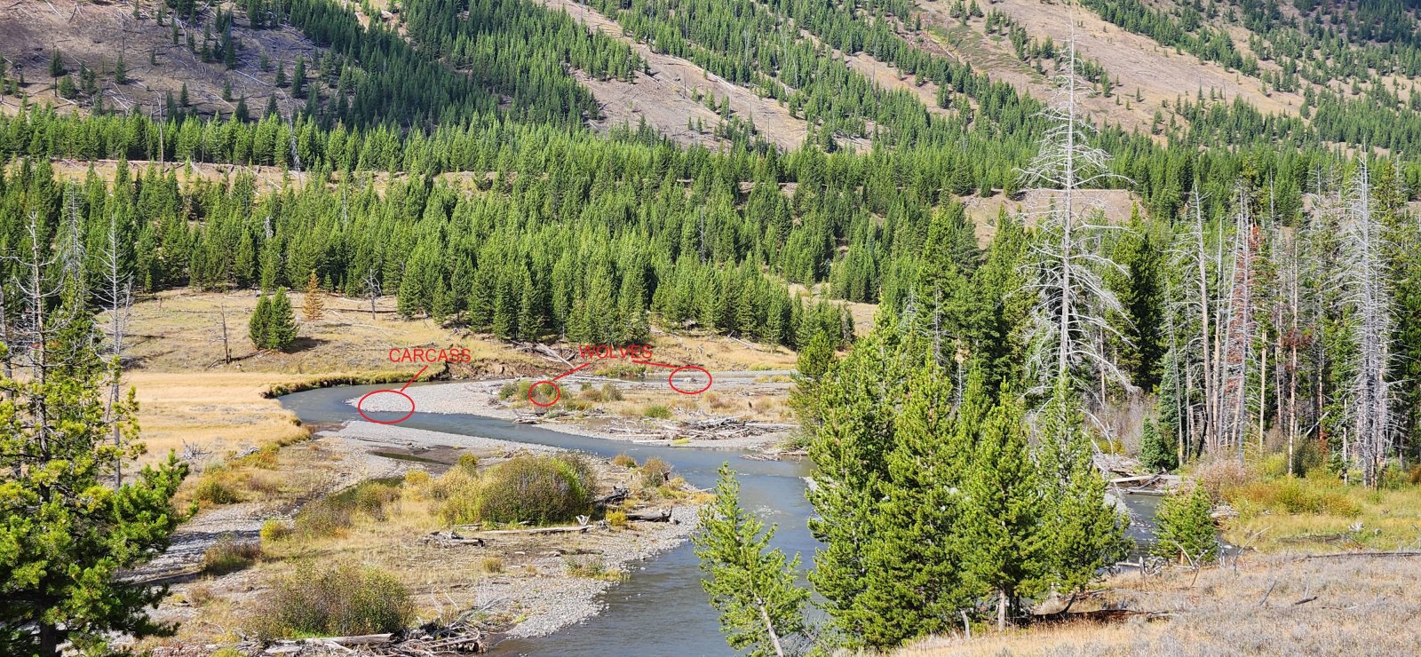 Best picture there is - not much to see.